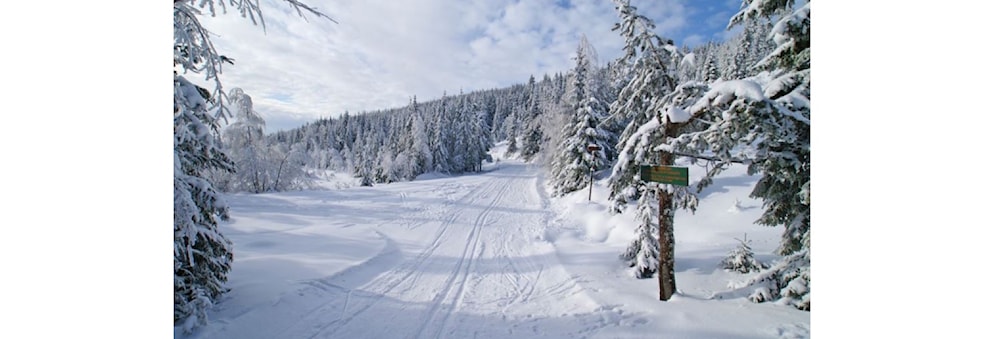 Cross Country Skitur Frognerseteren til Sognsvann